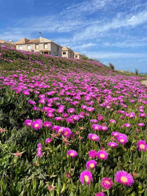 Ferienwohnung Miramar V Τορεβιέχα Εξωτερικό φωτογραφία