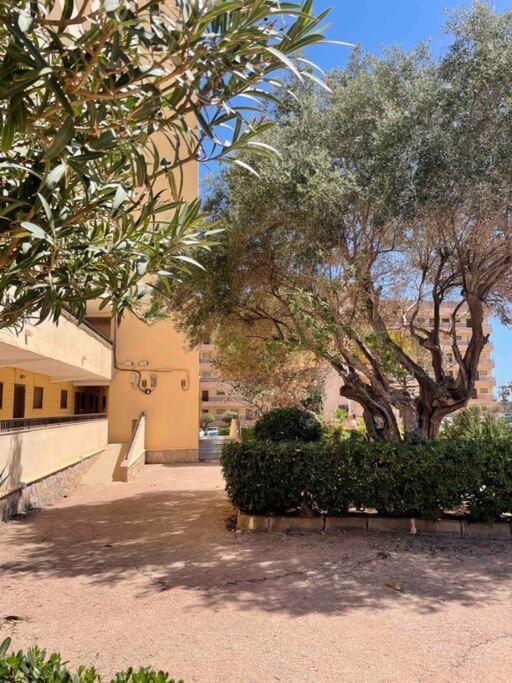 Ferienwohnung Miramar V Τορεβιέχα Εξωτερικό φωτογραφία